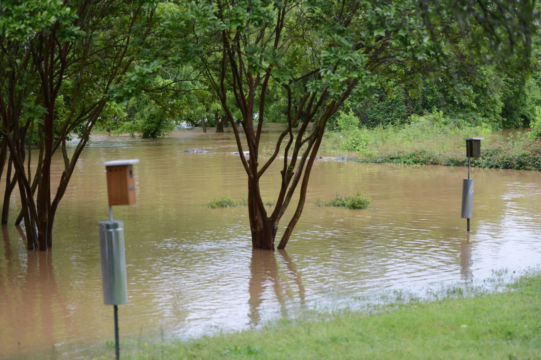 Flood